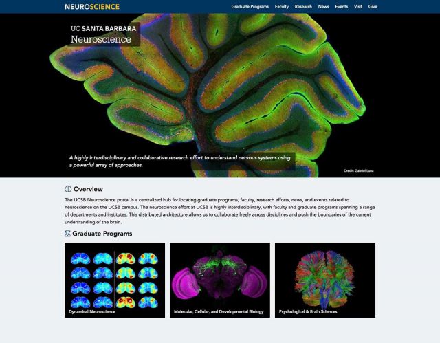 ucsb launches new neuroscience website portal neuroscience research institute uc santa barbara ucsb launches new neuroscience website